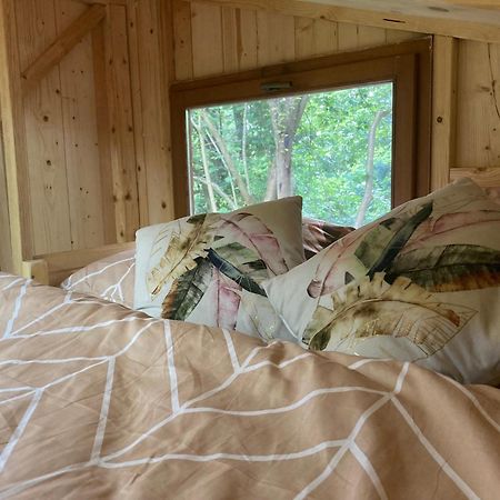 Tiny Resort Chotevice 1 Kottwitz 外观 照片